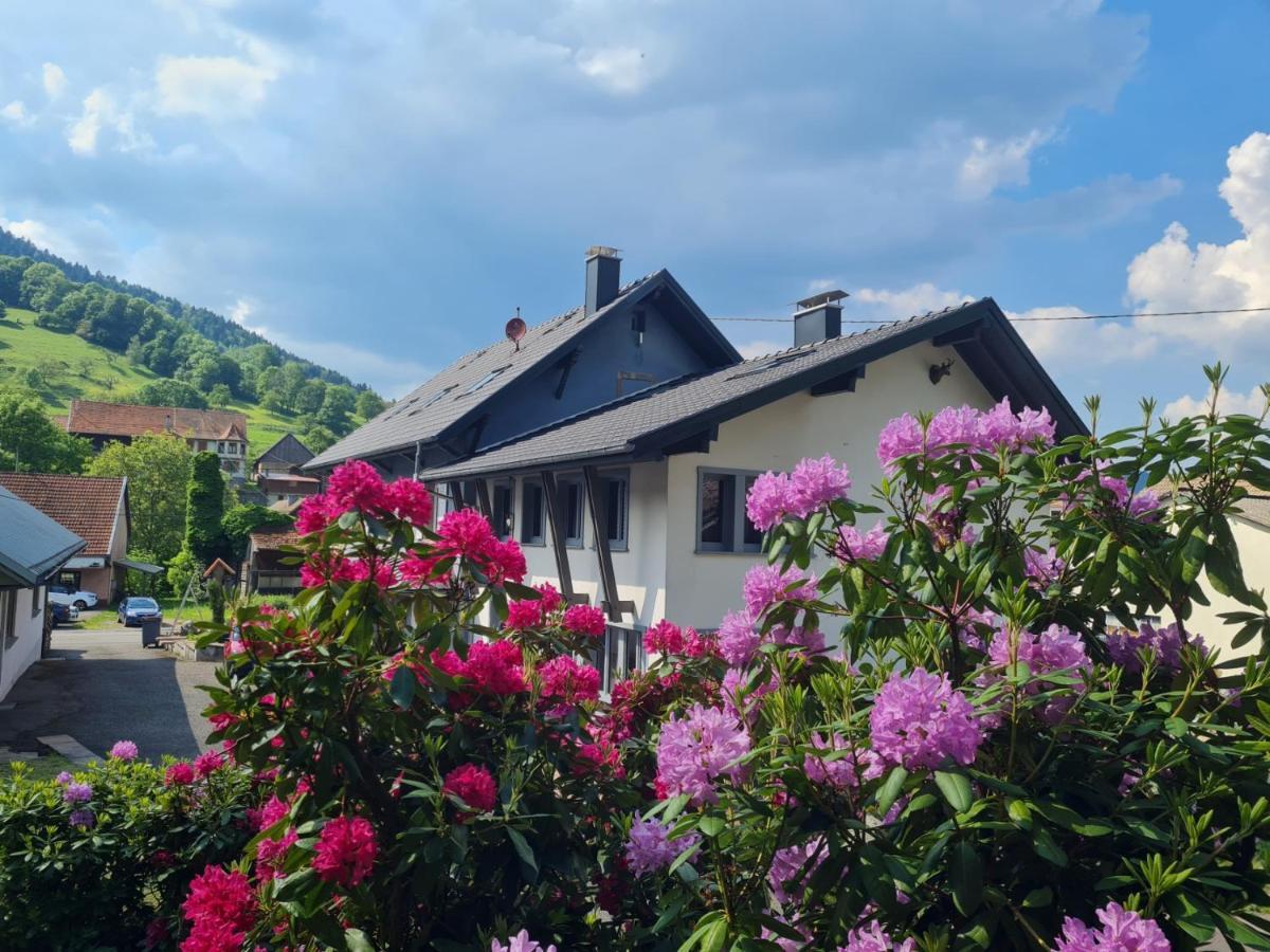 Locations Des 3 Sommets Avec Sauna Et Spa En Alsace Sondernach エクステリア 写真