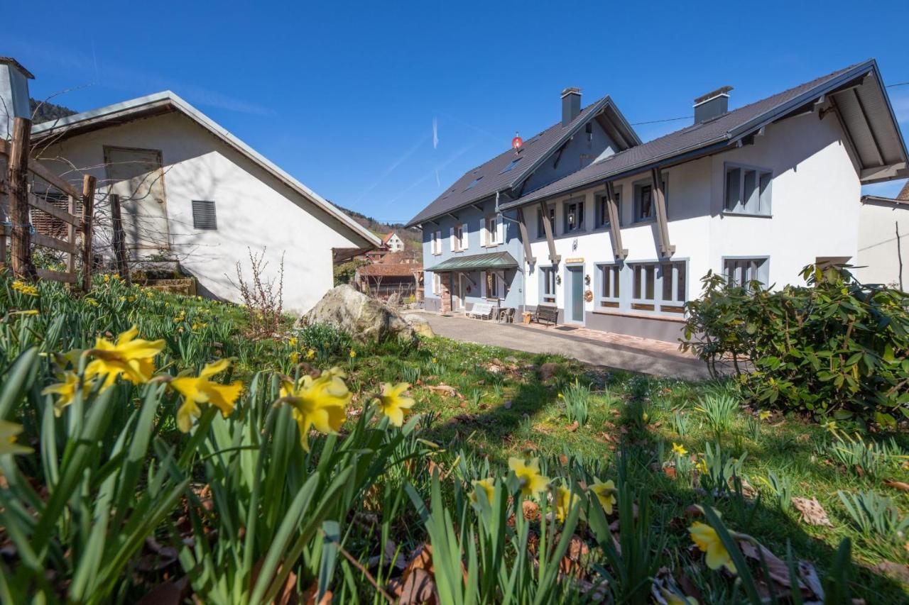 Locations Des 3 Sommets Avec Sauna Et Spa En Alsace Sondernach エクステリア 写真
