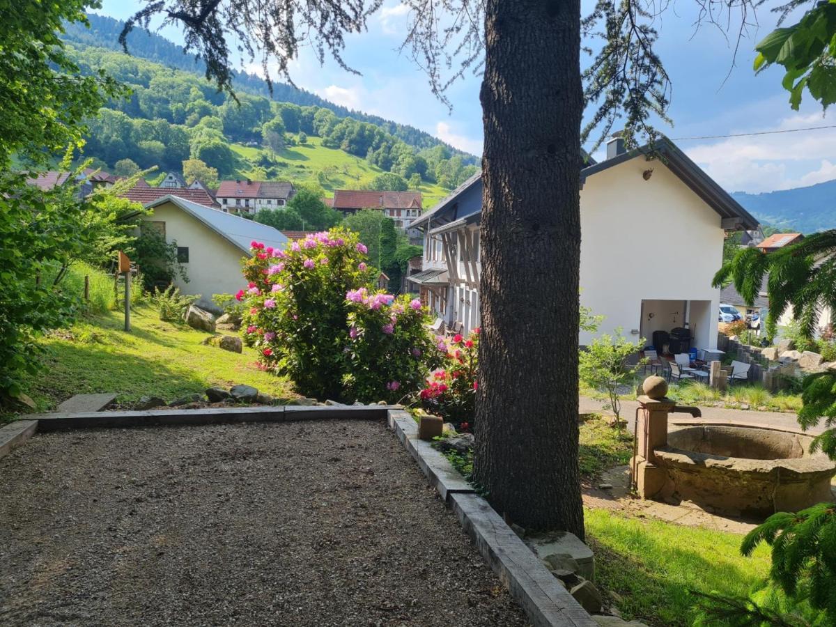Locations Des 3 Sommets Avec Sauna Et Spa En Alsace Sondernach エクステリア 写真
