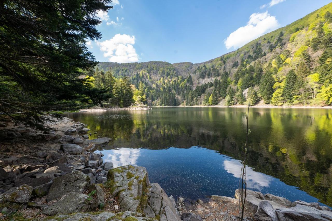 Locations Des 3 Sommets Avec Sauna Et Spa En Alsace Sondernach エクステリア 写真