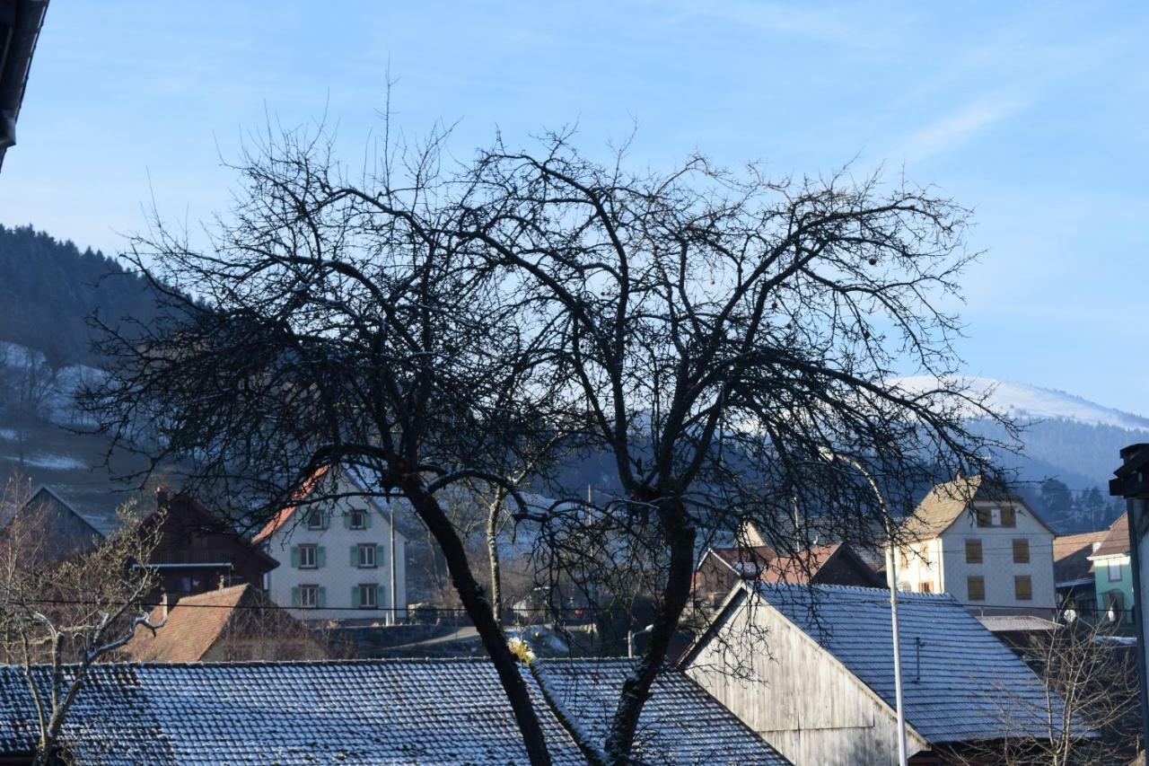 Locations Des 3 Sommets Avec Sauna Et Spa En Alsace Sondernach エクステリア 写真