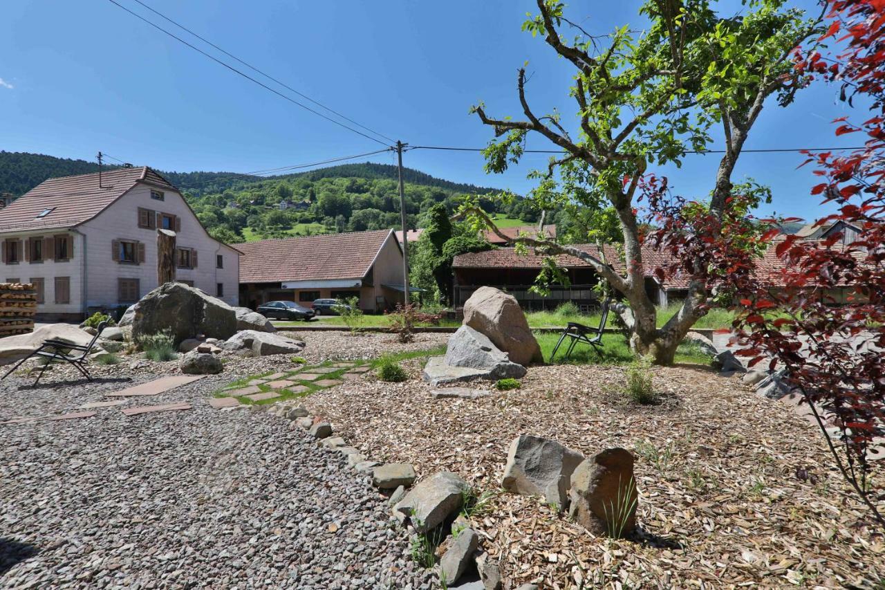Locations Des 3 Sommets Avec Sauna Et Spa En Alsace Sondernach エクステリア 写真
