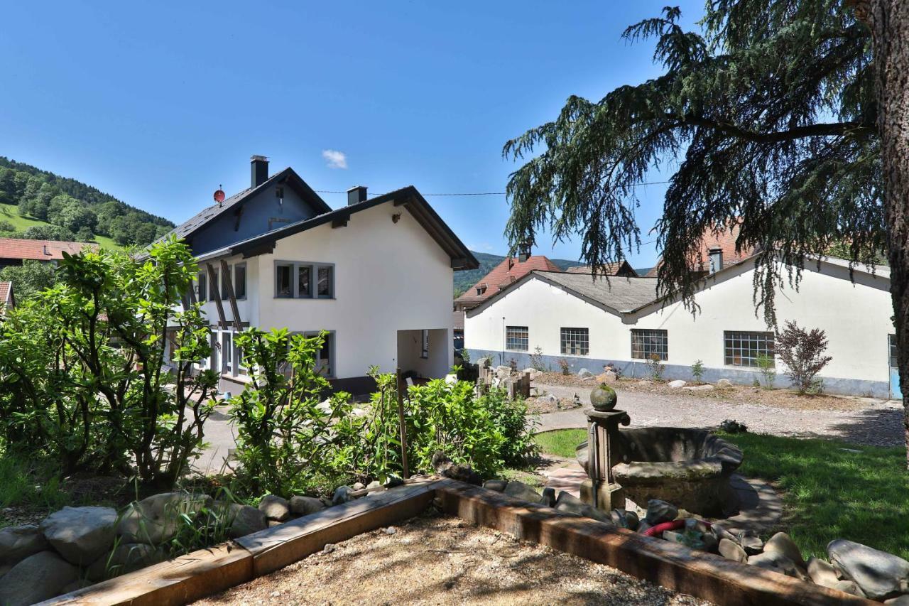 Locations Des 3 Sommets Avec Sauna Et Spa En Alsace Sondernach エクステリア 写真